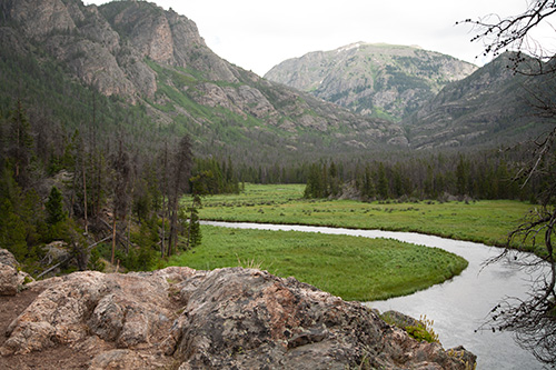 Rocky Mtn. N.P. picture